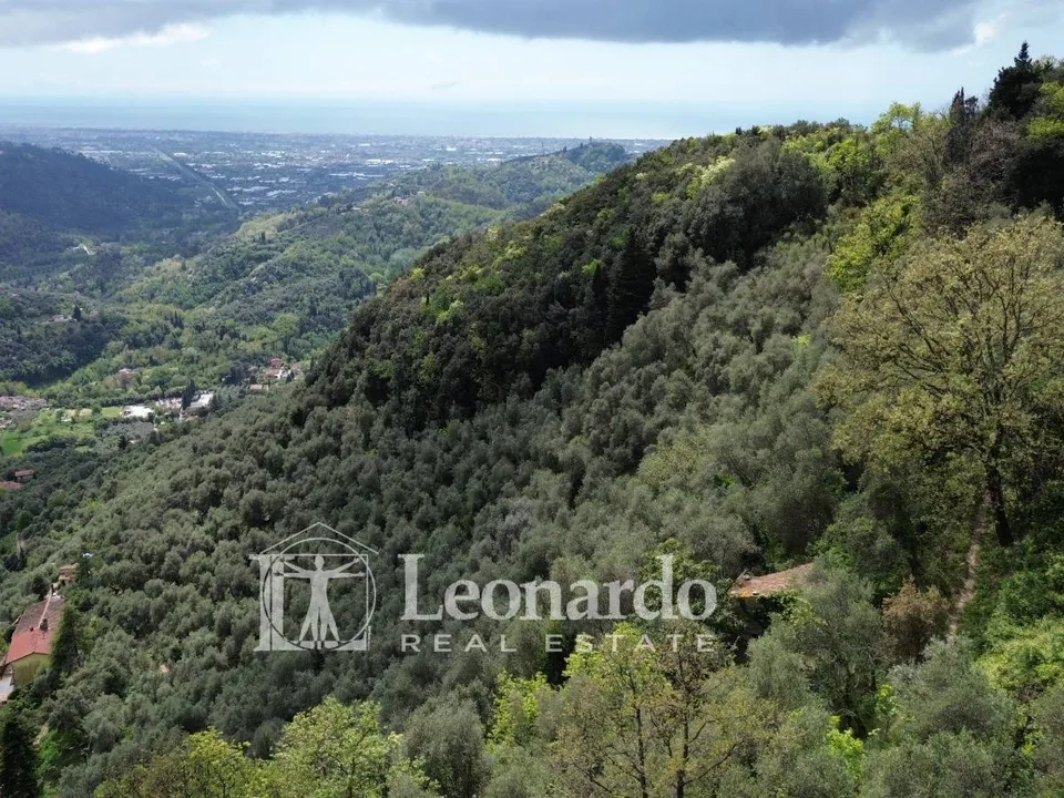 Helårsgrund i Camaiore, Lucca - foto 2