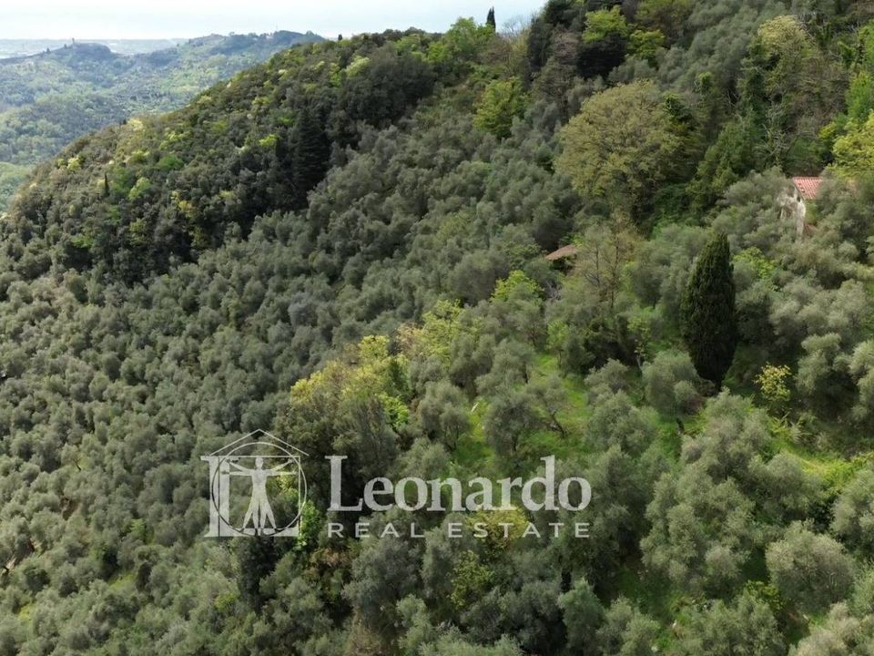 Helårsgrund i Camaiore, Lucca - foto 5