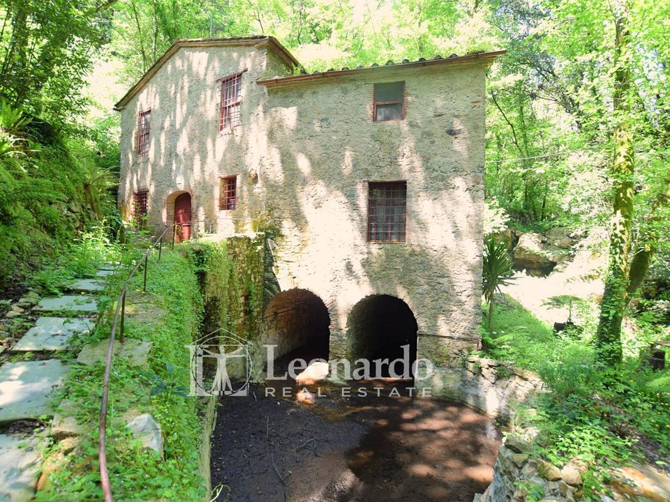 Villa i Camaiore, Lucca - foto 1