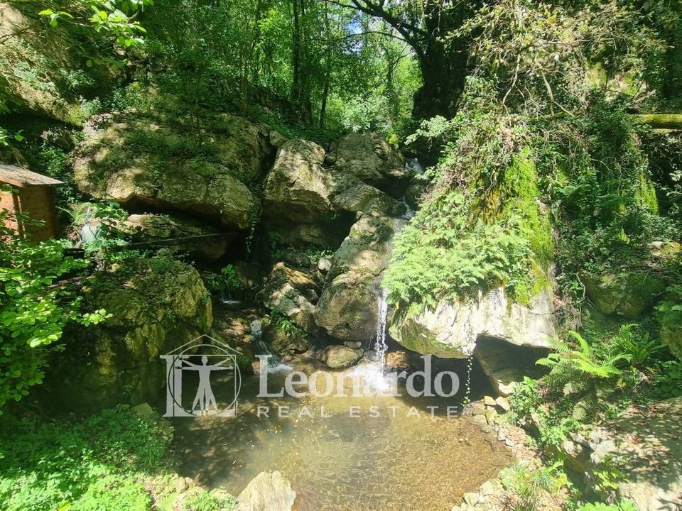 Villa i Camaiore, Lucca - foto 2
