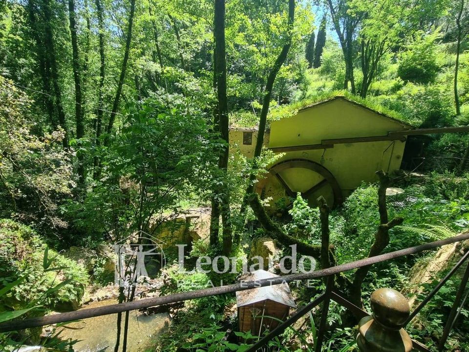 Villa i Camaiore, Lucca - foto 3