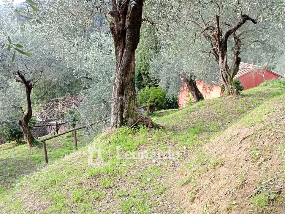 Villa i Massarosa, Lucca - foto 3