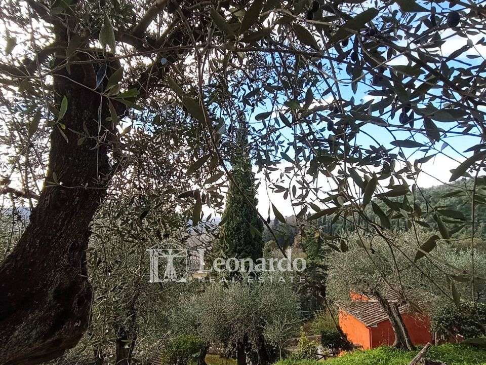 Villa i Massarosa, Lucca - foto 5