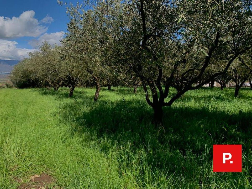 Helårsgrund i Alvignano, Caserta - foto 2