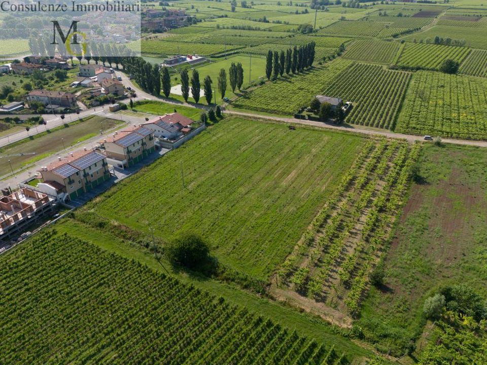 Tomt i Gambellara, Vicenza - bilde 2