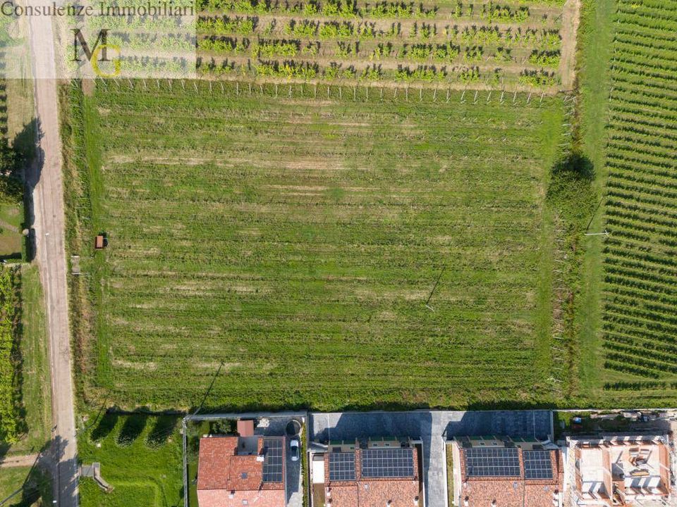 Tomt i Gambellara, Vicenza - bilde 3