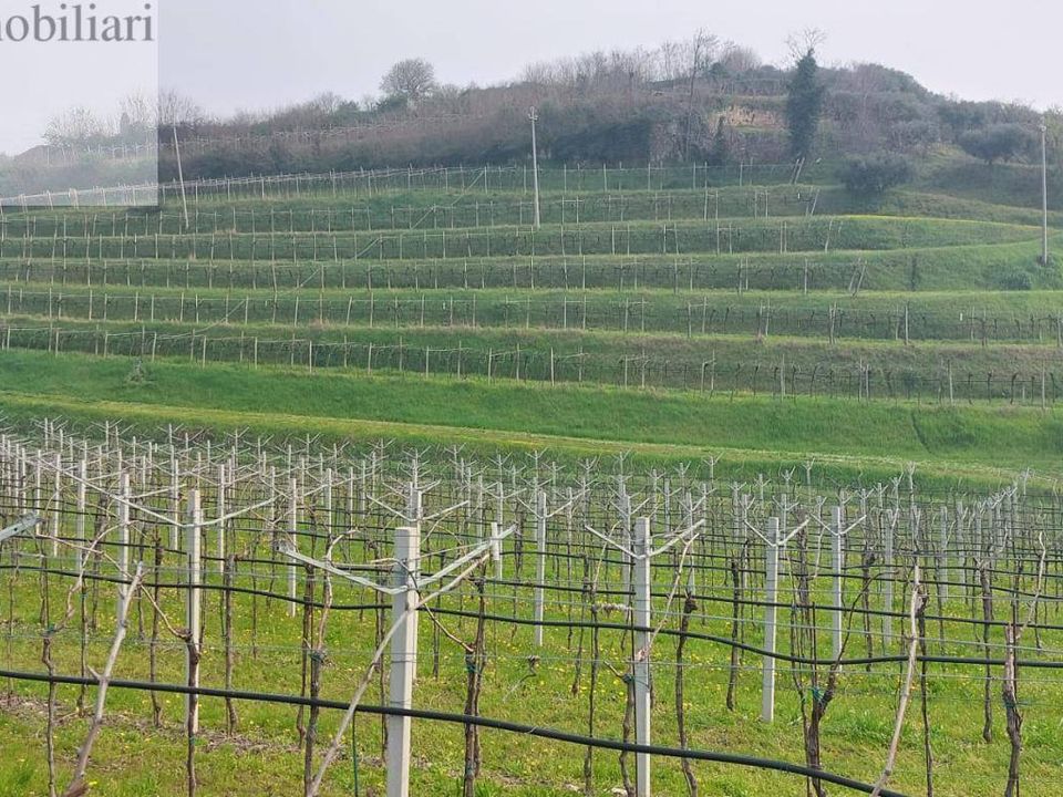 Helårsgrund i Colognola ai Colli, Verona - foto 1