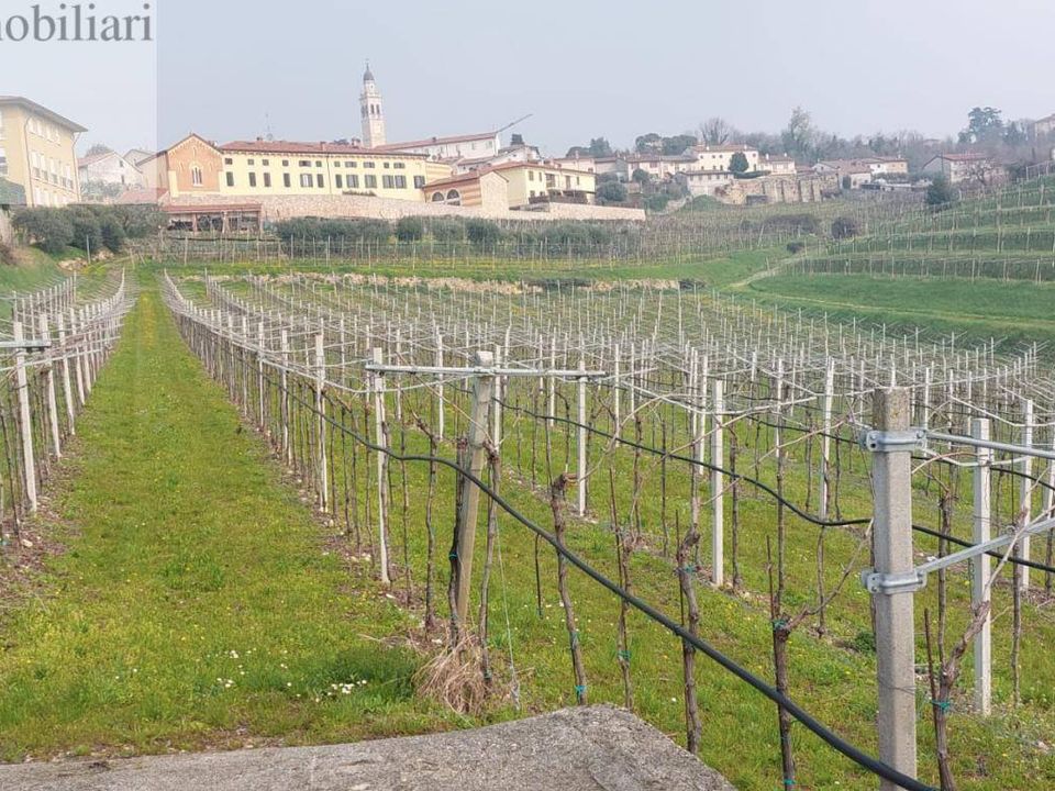 Helårsgrund i Colognola ai Colli, Verona - foto 2
