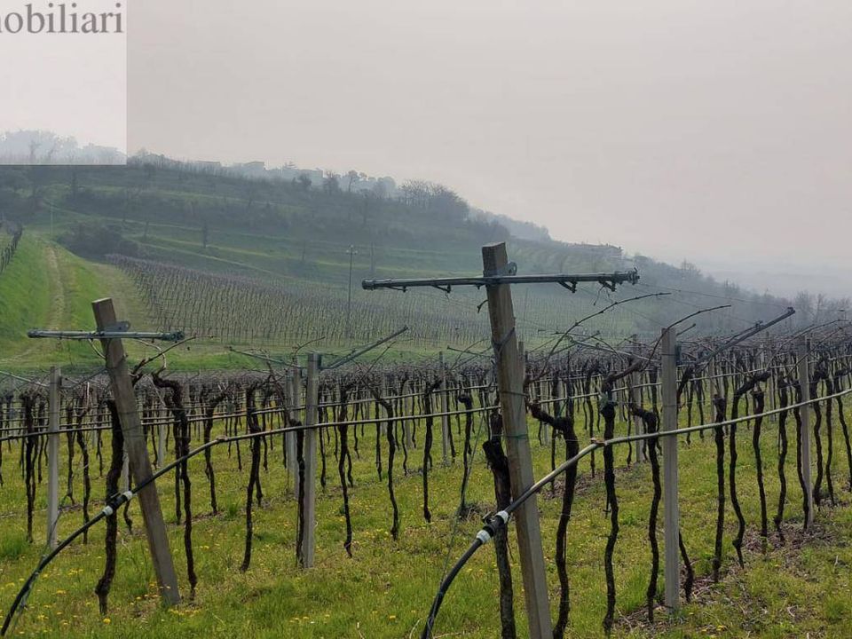 Helårsgrund i Colognola ai Colli, Verona - foto 3
