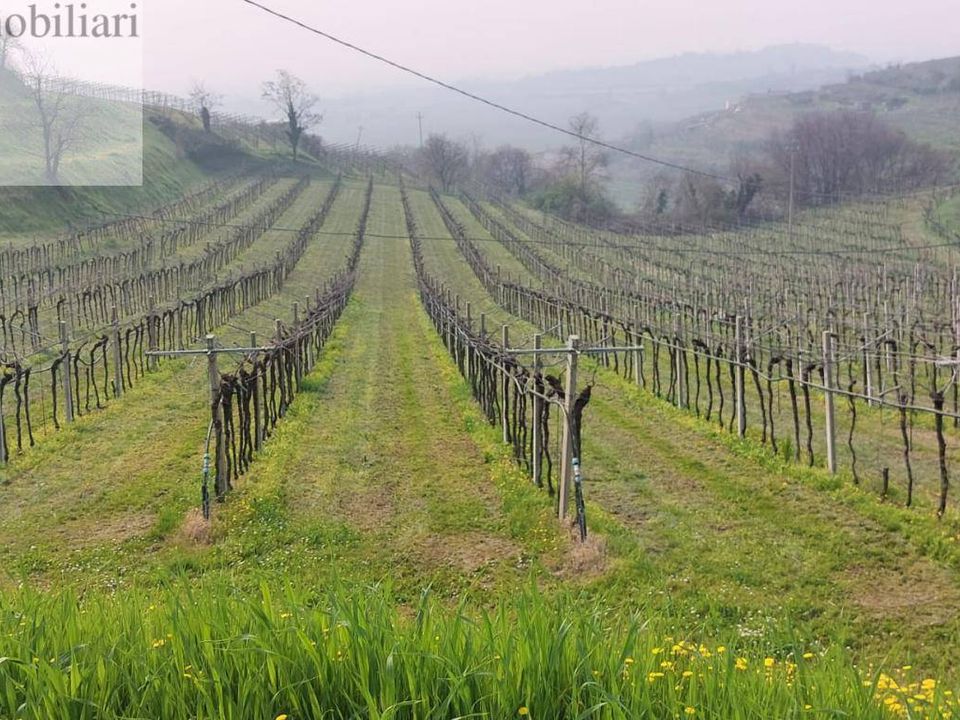 Helårsgrund i Colognola ai Colli, Verona - foto 4