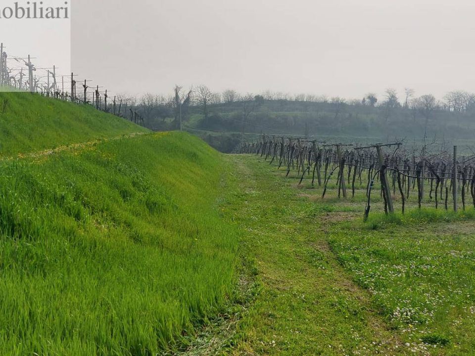 Helårsgrund i Colognola ai Colli, Verona - foto 5