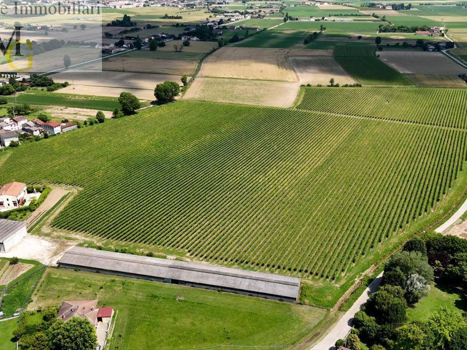 Helårsgrund i Pojana Maggiore, Vicenza - foto 1
