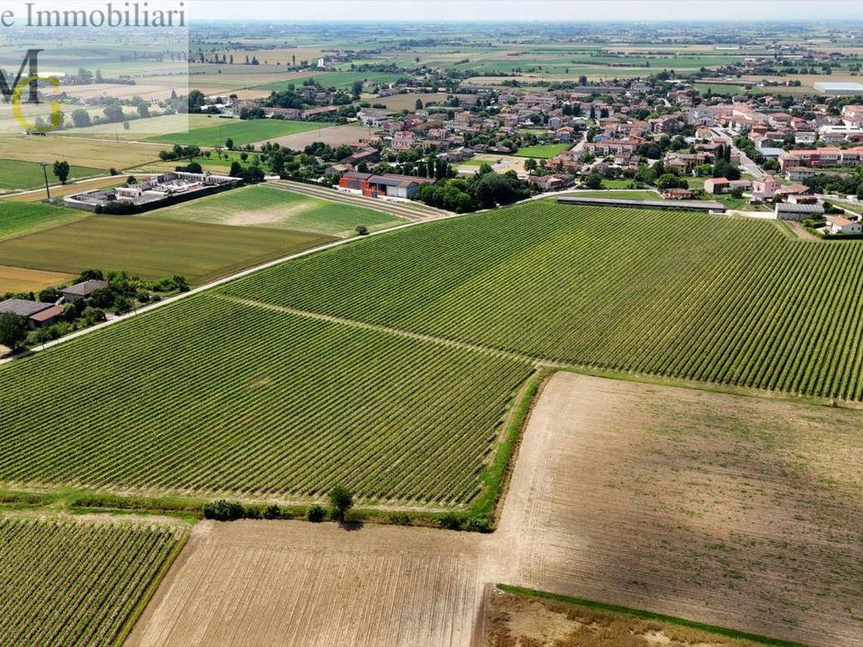 Helårsgrund i Pojana Maggiore, Vicenza - foto 2