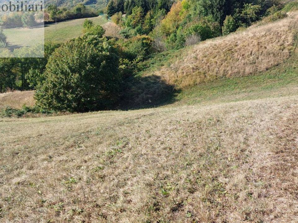 Helårsgrund i Vestenanova, Verona - foto 3