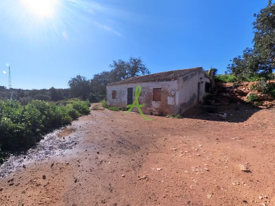 Farm i Lagoa, Faro - foto 2