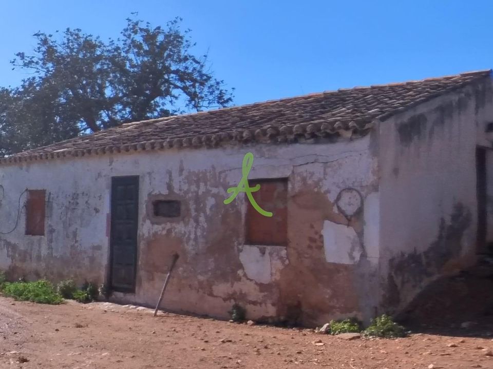 Farm i Lagoa, Faro - foto 1