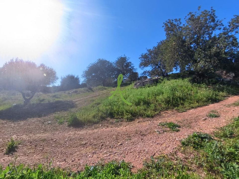 Farm i Lagoa, Faro - foto 5
