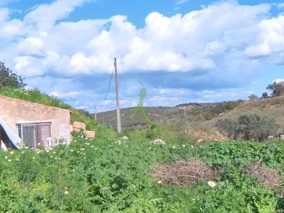 Farm i Lagoa, Faro - foto 4