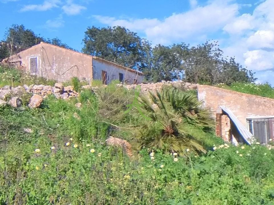 Farm i Lagoa, Faro - foto 3
