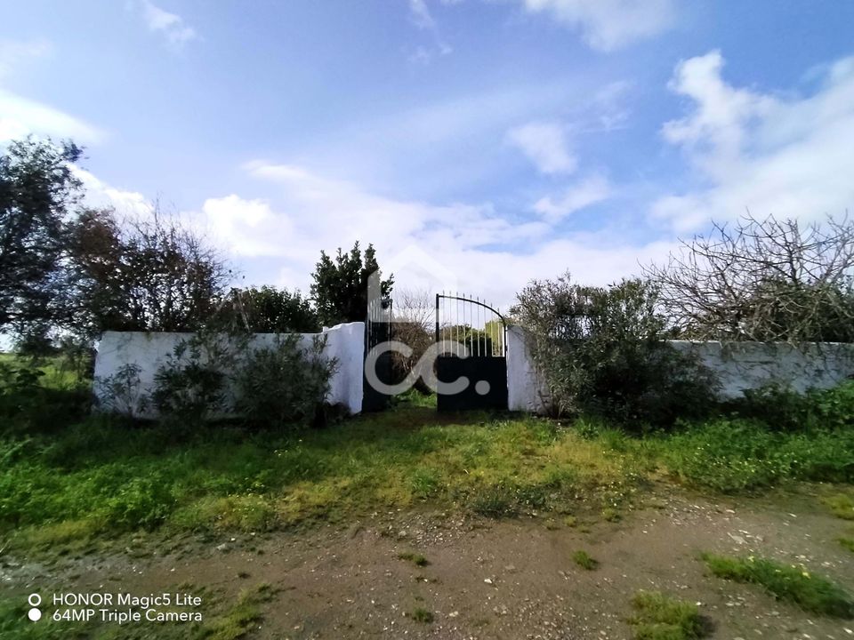 Helårsgrund i Castro Verde, Beja - foto 2