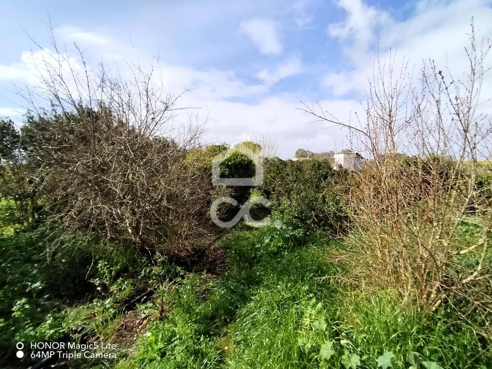Helårsgrund i Castro Verde, Beja - foto 3