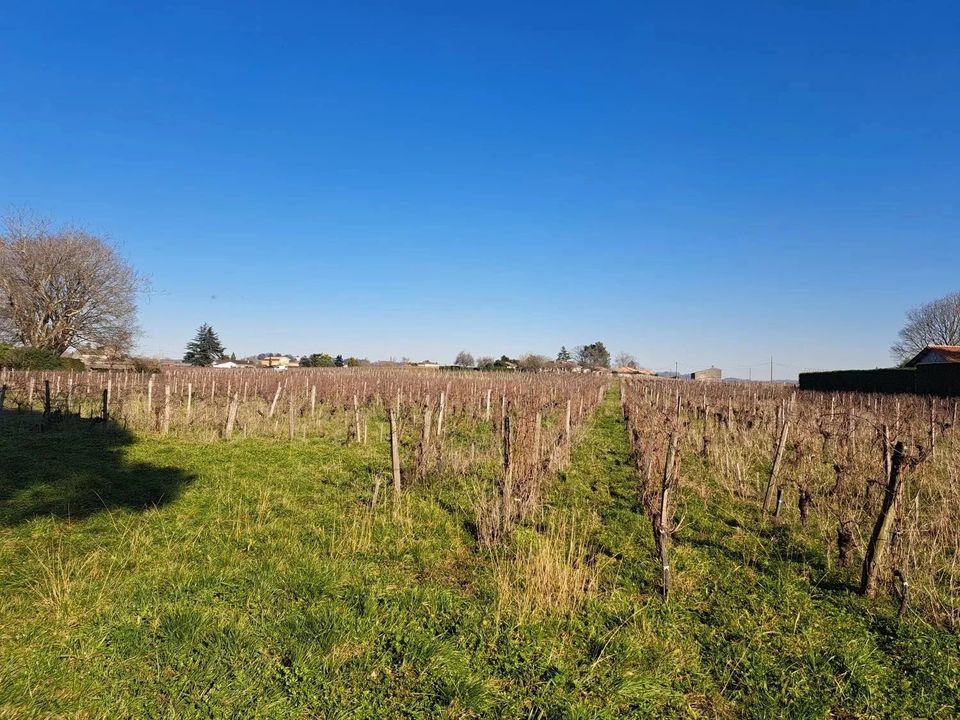 Landejendom i Saint-Emilion, Gironde - foto 2