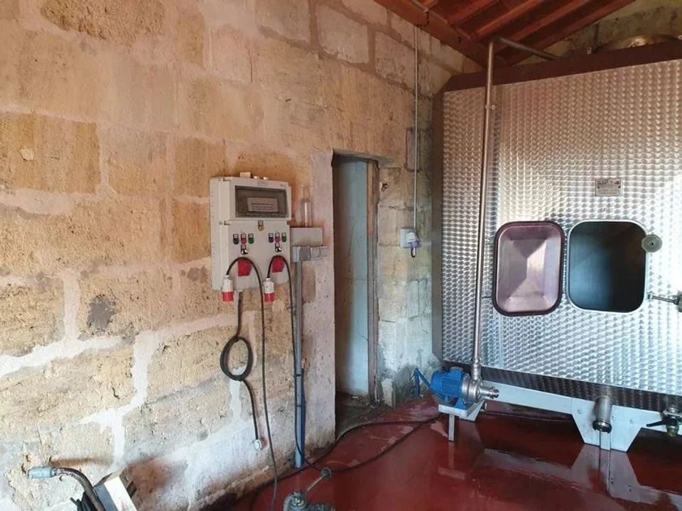 Landejendom i Saint-Emilion, Gironde - foto 5
