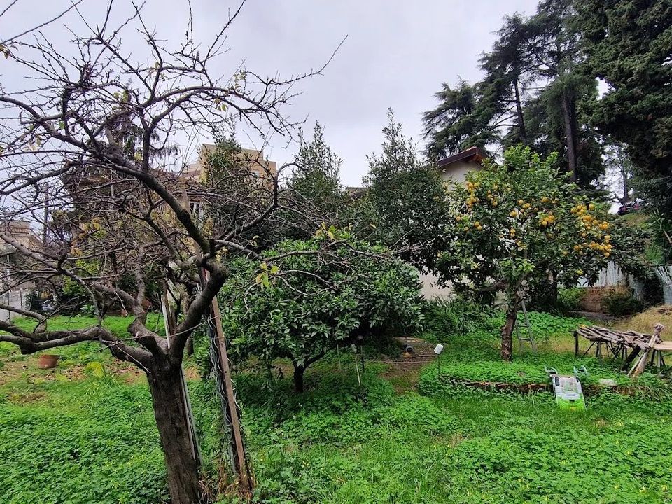 Villa i Nice, Alpes-Maritimes - foto 1