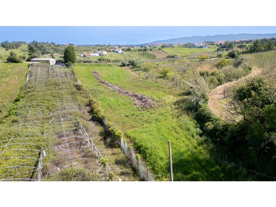 Helårsgrund i Alcobaca, Leiria - foto 5