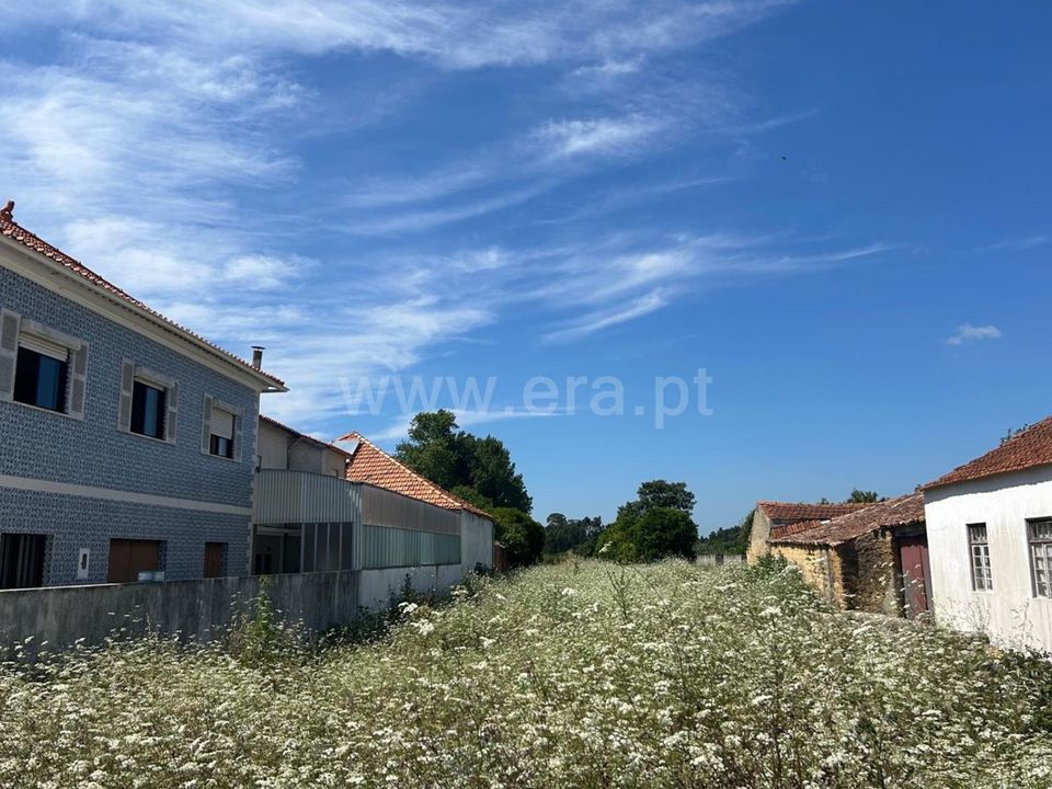 Helårsgrund i Cantanhede, Coimbra - foto 4