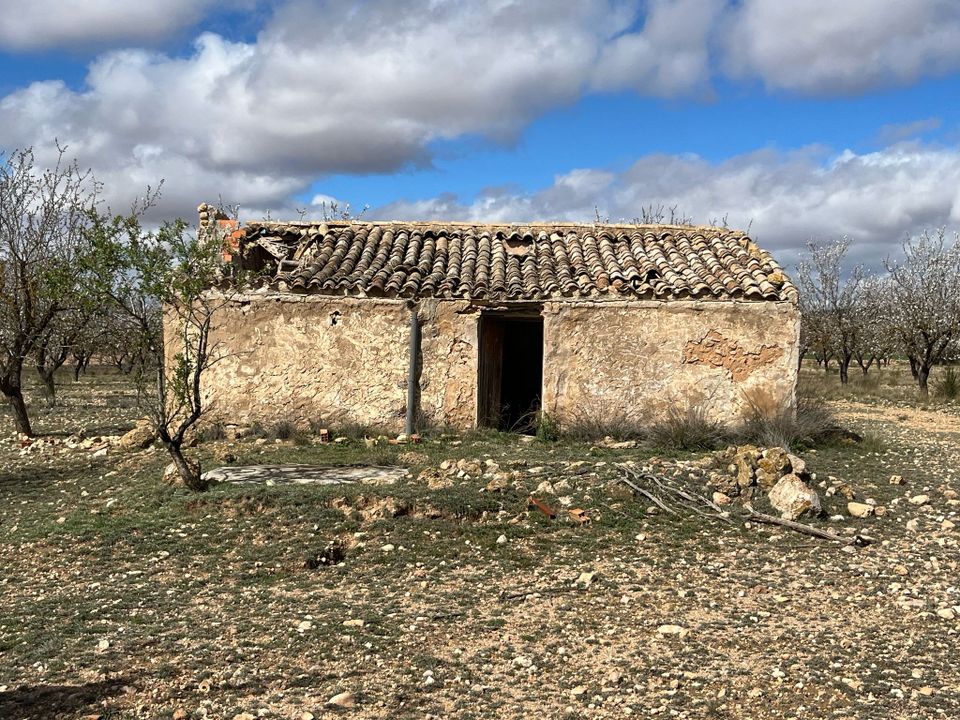 Landejendom i Yecla, Murcia - foto 1