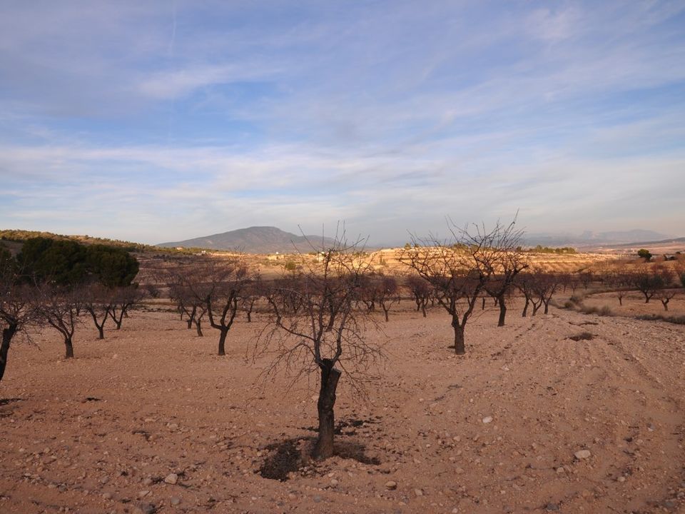 Tomt i Raspay, Murcia - bilde 1