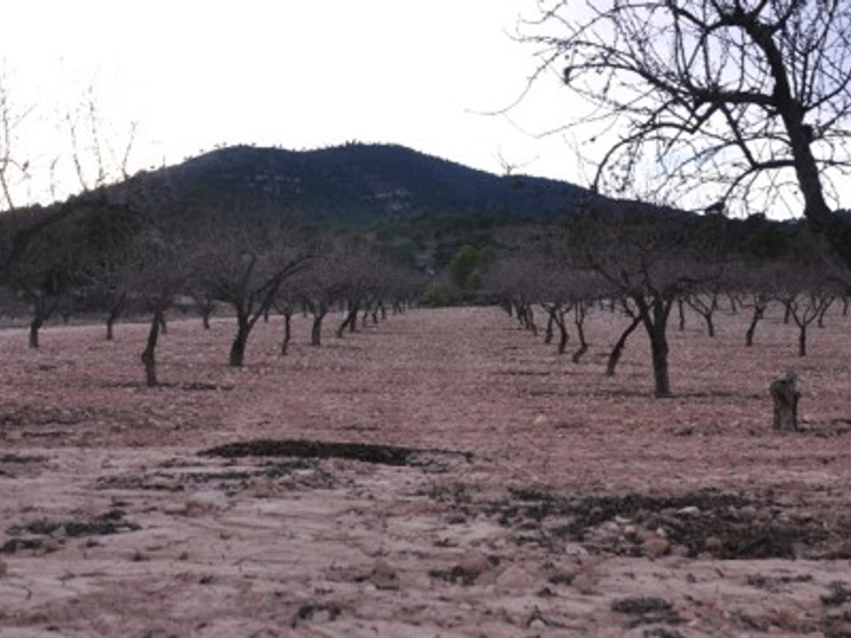 Tomt i Raspay, Murcia - bilde 2