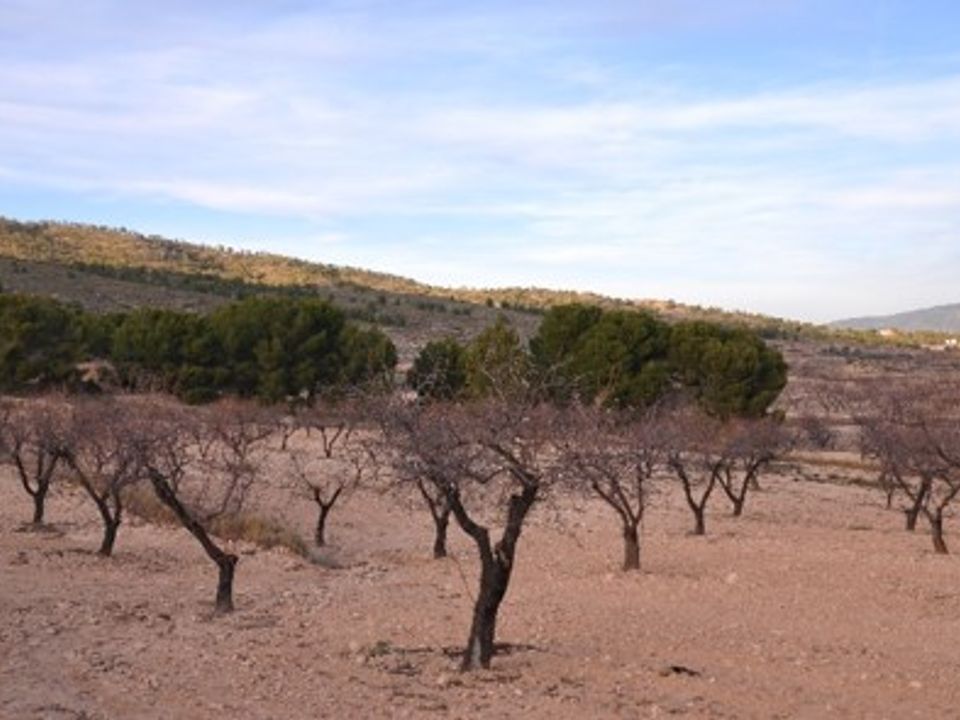 Tomt i Raspay, Murcia - bilde 5