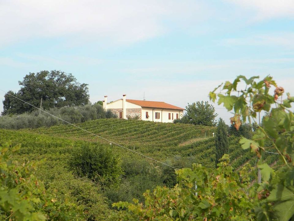 Farm hus i Terricciola, Pisa - foto 1