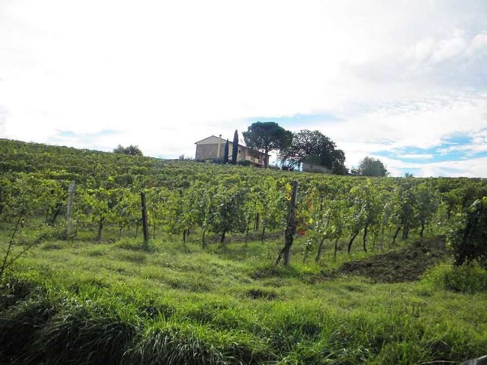 Farm hus i Terricciola, Pisa - foto 3