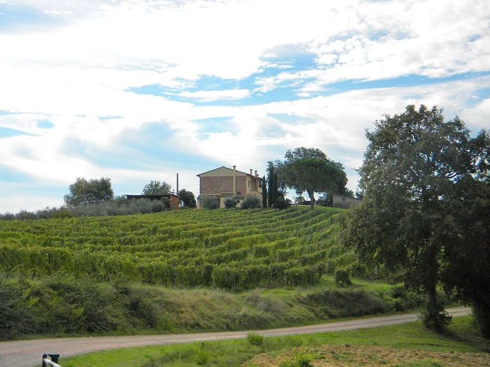 Farm hus i Terricciola, Pisa - foto 5