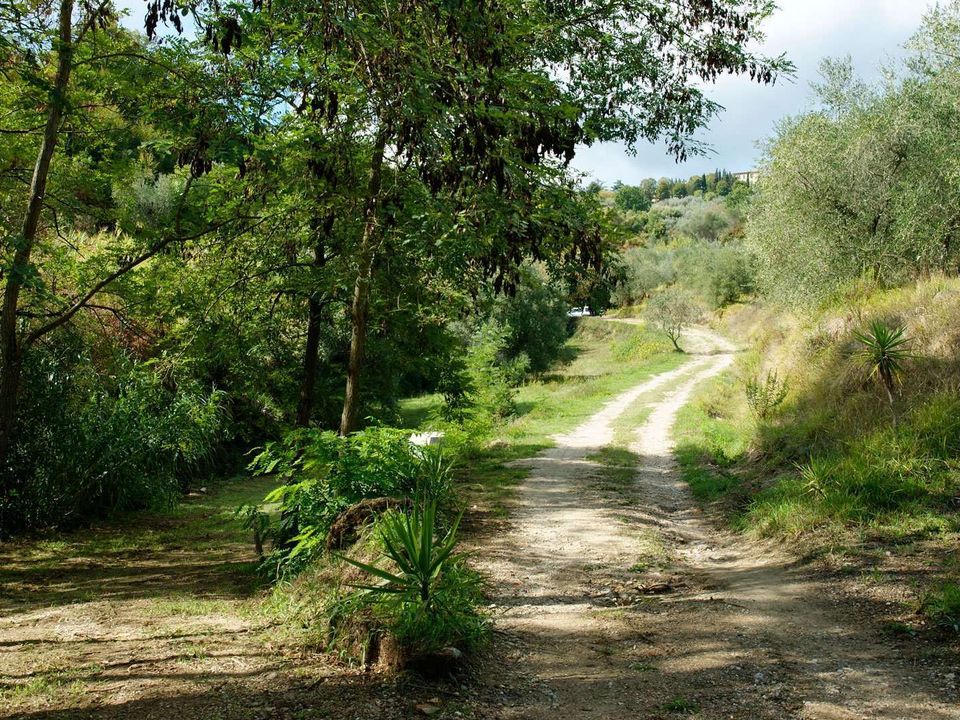 Farm hus i Chianni, Pisa - foto 1