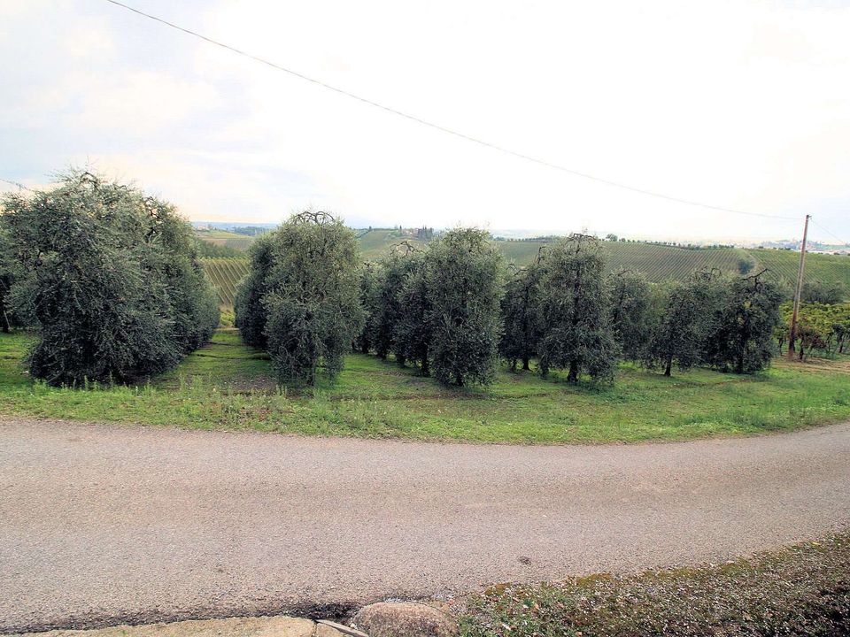 Farm hus i Cerreto Guidi, Florence - foto 3
