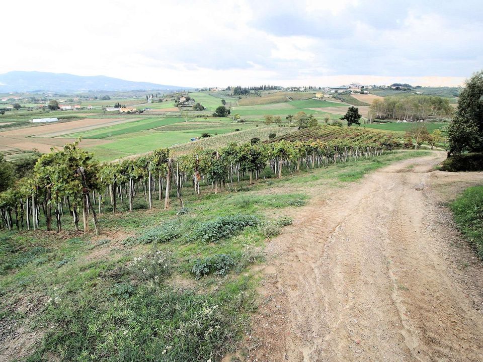 Farm hus i Cerreto Guidi, Florence - foto 4