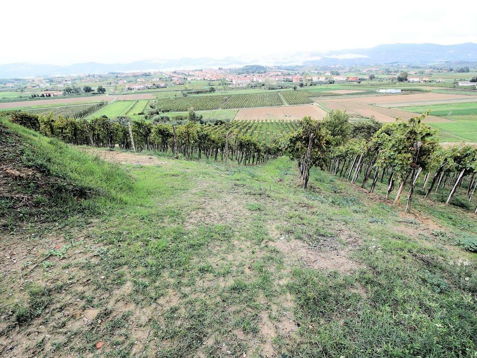 Farm hus i Cerreto Guidi, Florence - foto 5
