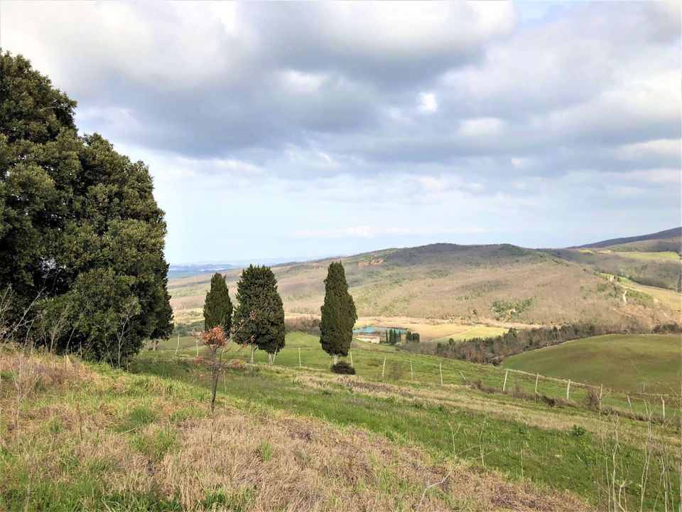 Villa i Chianni, Pisa - foto 1