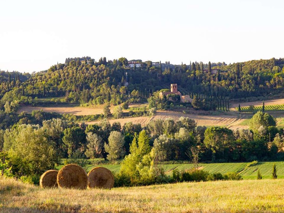 Farm hus i Montaione, Florence - foto 1