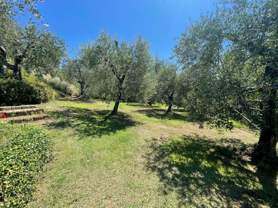 Villa i Montopoli in Val d'Arno, Pisa - foto 2