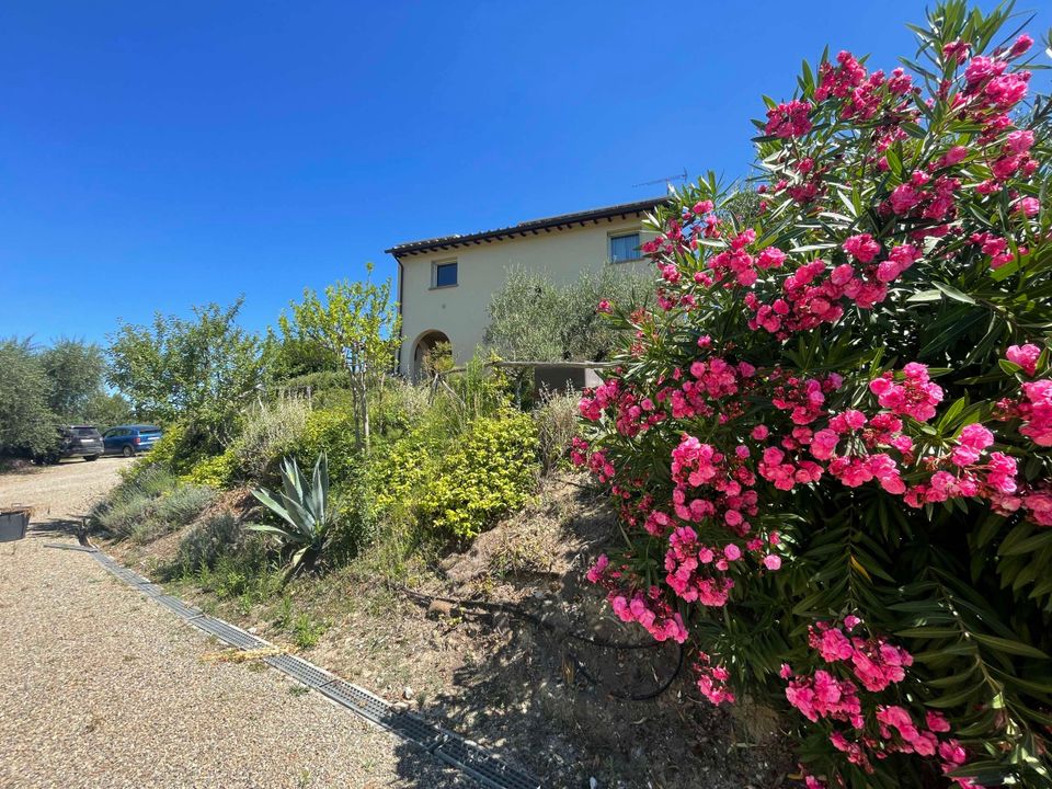 Villa i Montopoli in Val d'Arno, Pisa - foto 4