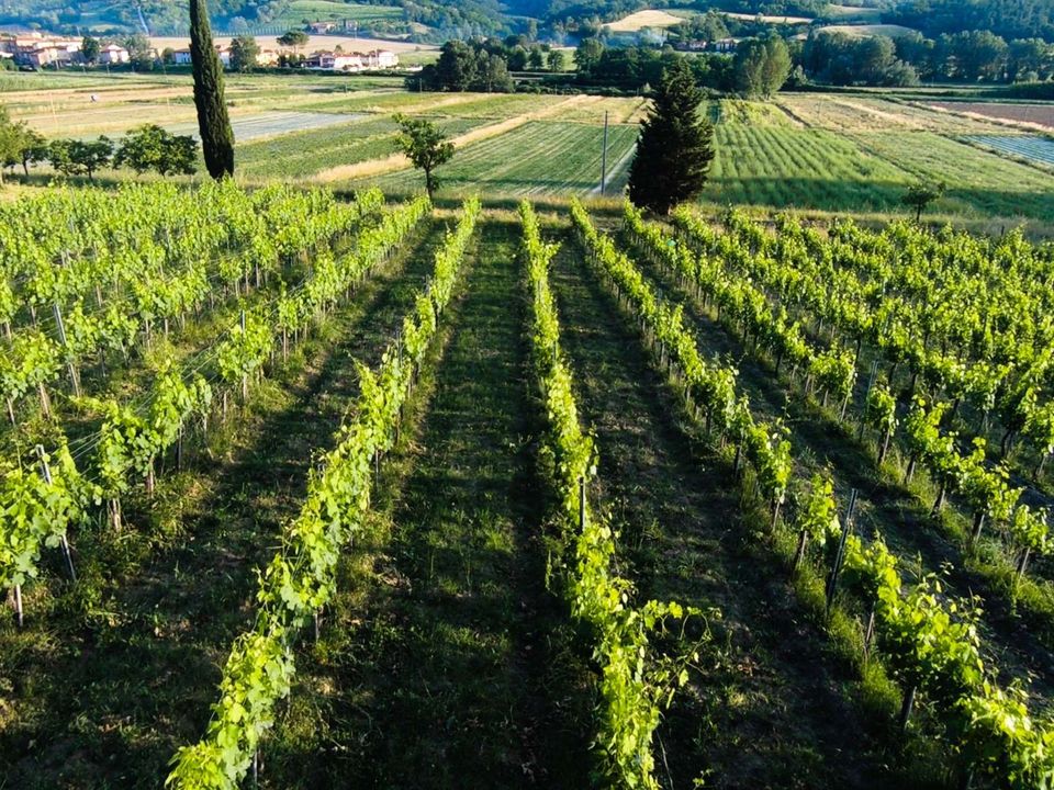 Farm hus i San Miniato, Pisa - foto 4