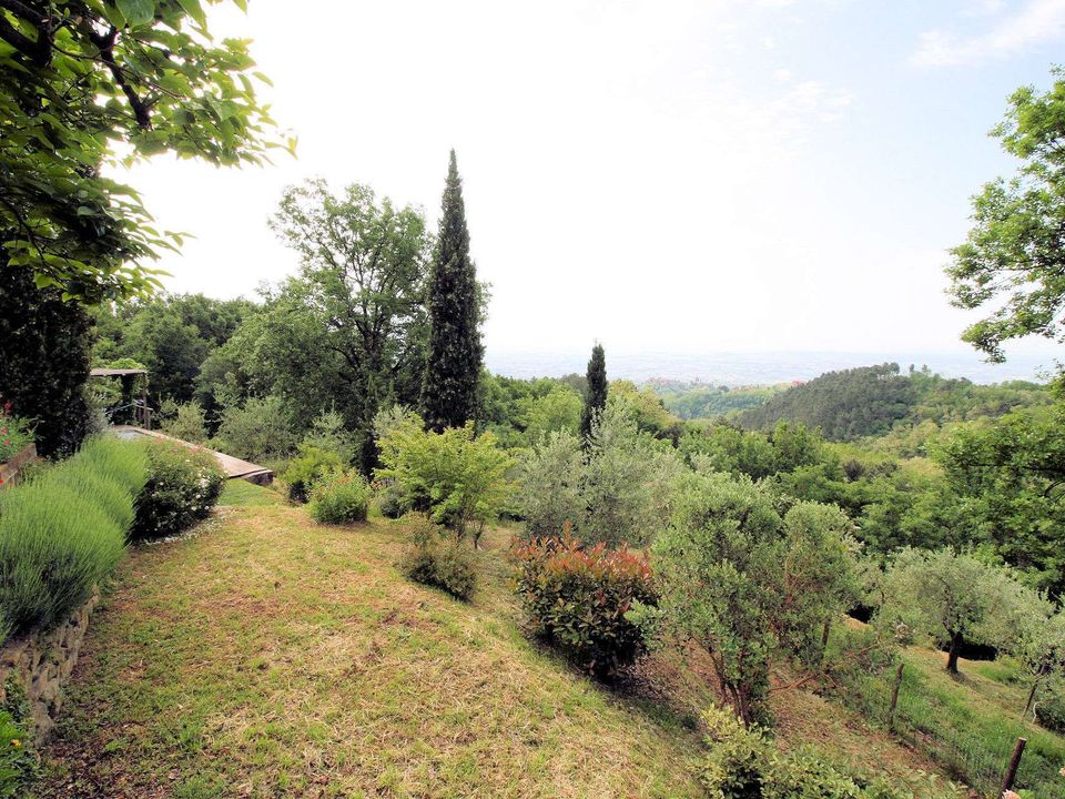 Villa i Buggiano, Pistoia - foto 2