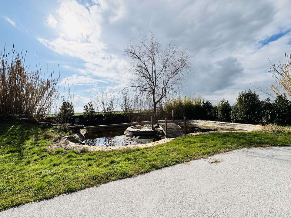Villa i Cascina, Pisa - foto 4