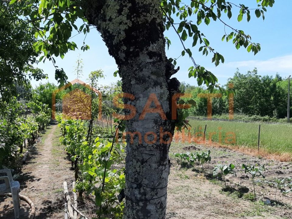 Helårsgrund i Canas de Senhorim, Viseu - foto 1