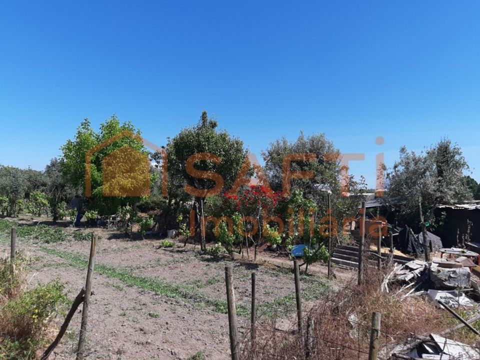 Helårsgrund i Canas de Senhorim, Viseu - foto 3
